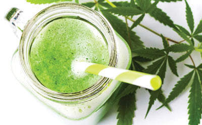 5 Best Juicing Recipes Using Hemp Seeds with Naturally Immune Boosting Results